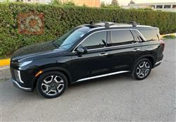 هیوندای پالیسەید